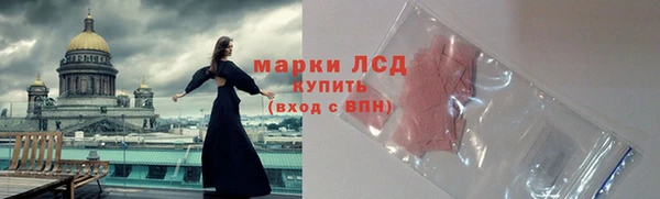 спиды Богданович