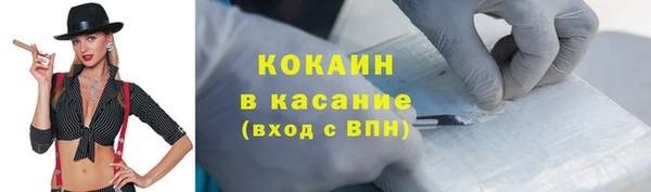 спиды Богданович