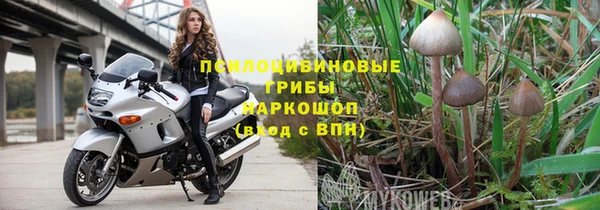 спиды Богданович