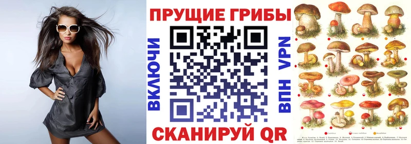 закладка  Буй  Псилоцибиновые грибы мухоморы 